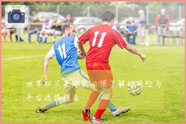 世界杯买足球前必须了解的风险与平台选择指南